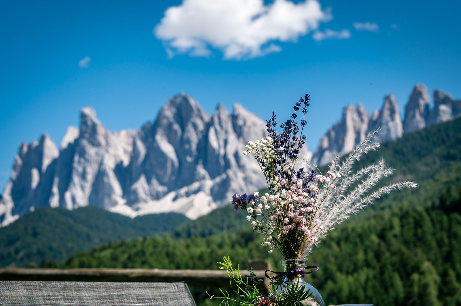 Fattoria Whirlpool Dolomites 04