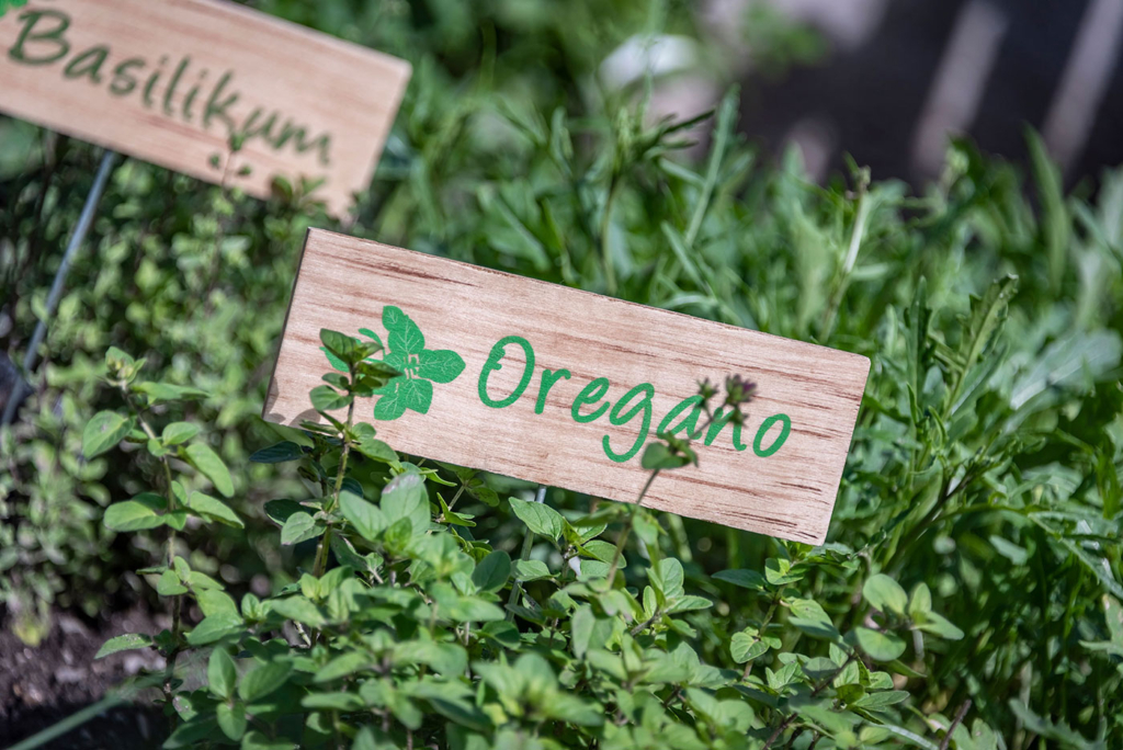 Prodotti agricoli 03