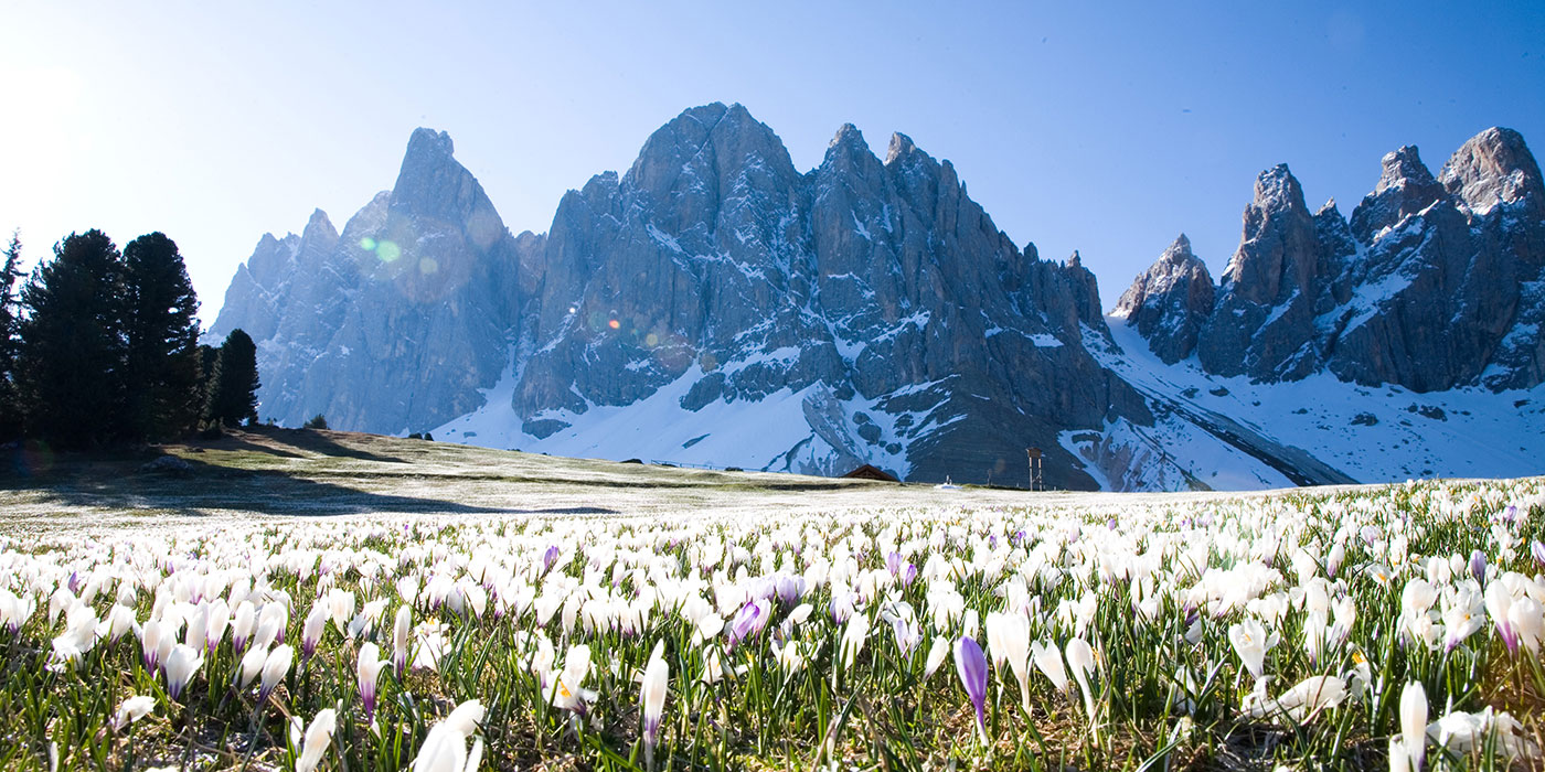 Escursioni Funes Dolomiti 04